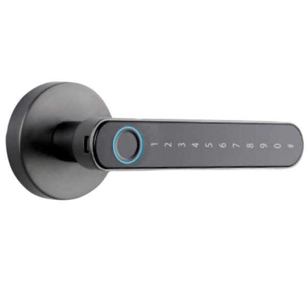 desi-quic-q002-akilli-kapi-kolu-ios-android-uyumlu-parmak-izi-tus-takimi-akilli-kilitler-desi-quic-q015-1005-53-B DESi QUiC Q002 Akıllı Kapı Kolu - Parmak İzi -Tuş Takımı - Uygulama